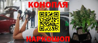 хмурый Коммунар