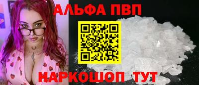 молекула духа Кингисепп