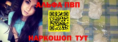 молекула духа Кингисепп