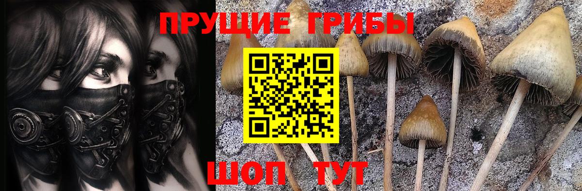 Краснокаменск  Псилоцибиновые грибы GOLDEN TEACHER  Вход с VPN  Галлюциногенные грибы Magic Shrooms 