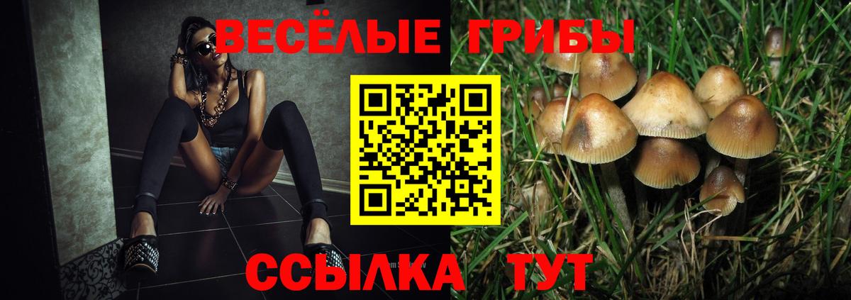 Галлюциногенные грибы Psilocybine cubensis Краснокаменск